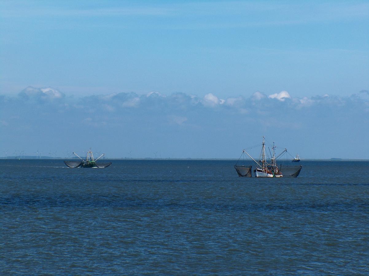 Nordsee Lodge Pellworm Esterno foto